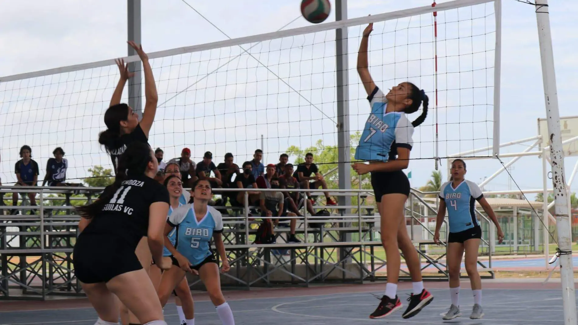 Liga Dominical de Voleibol